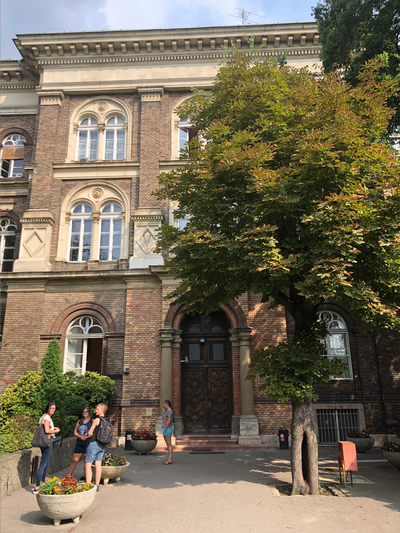 Aidan Kennedy_Hungary_My School